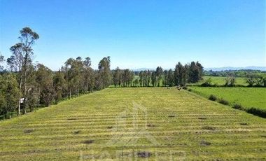 Agrícola en Venta en Camino Las Rastras