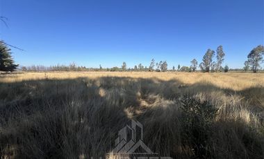 Agrícola en Venta en Camino Las Rastras