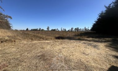 Agrícola en Venta en Camino Las Rastras