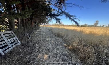 Agrícola en Venta en Camino Las Rastras