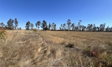 Agrícola en Venta en Camino Las Rastras