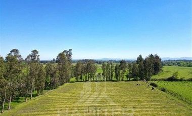 Agrícola en Venta en Camino Las Rastras