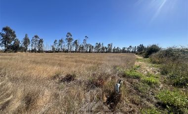 Agrícola en Venta en Camino Las Rastras