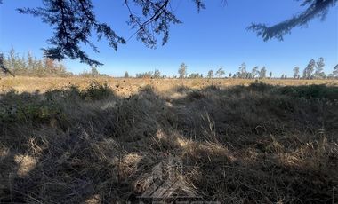 Agrícola en Venta en Camino Las Rastras