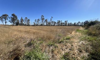 Agrícola en Venta en Camino Las Rastras