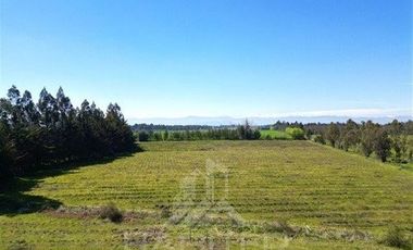 Agrícola en Venta en Camino Las Rastras