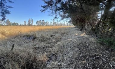 Agrícola en Venta en Camino Las Rastras