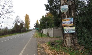 Parcela en Venta en Venta Terreno Industrial LA QUINTA PC 58, longaví 3.900 mt con galpón regularizado