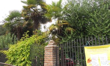 Parcela en Venta en Venta Terreno Industrial LA QUINTA PC 58, longaví 3.900 mt con galpón regularizado