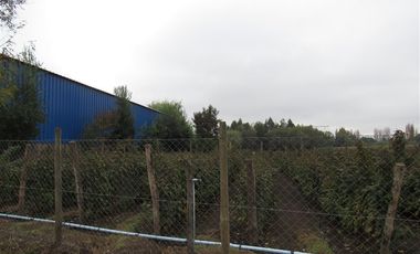 Parcela en Venta en Venta Terreno Industrial LA QUINTA PC 58, longaví 3.900 mt con galpón regularizado
