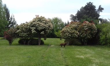 Venta Chacra , Gral Rodriguez,Barrio Bonito!