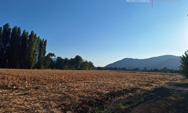 Sitio en Venta en Ruta H Malloa