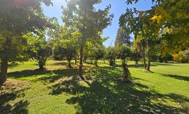 Parcela en Arriendo en Loteo Los Quillayes con Camino Macul, Lo Arcaya Pirque