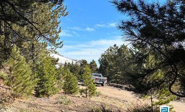 Terreno 3300 m2 El Desafio - San Martin De Los Andes