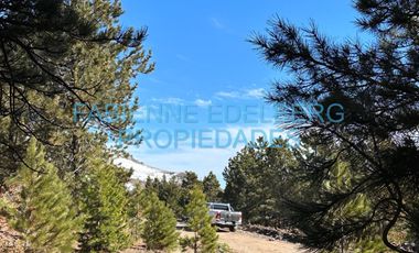Terreno 3300 m2 El Desafio - San Martin De Los Andes