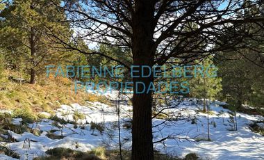 Terreno 3300 m2 El Desafio - San Martin De Los Andes
