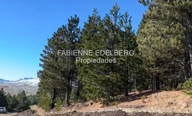 Terreno 3300 m2 El Desafio - San Martin De Los Andes