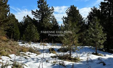 Terreno 3300 m2 El Desafio - San Martin De Los Andes