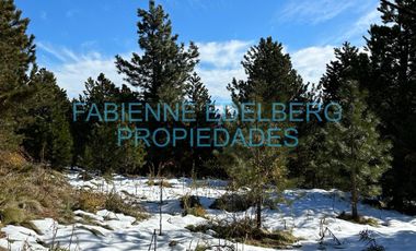 Terreno 3300 m2 El Desafio - San Martin De Los Andes