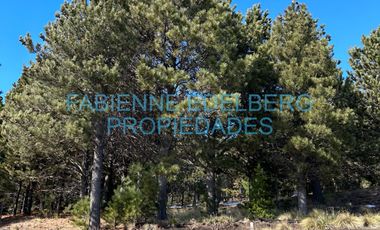 Terreno 3300 m2 El Desafio - San Martin De Los Andes