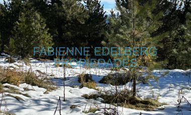Terreno 3300 m2 El Desafio - San Martin De Los Andes