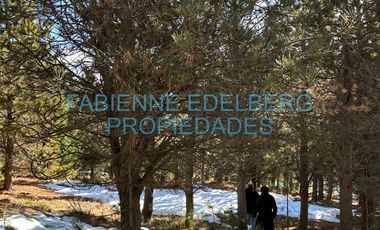 Terreno 3300 m2 El Desafio - San Martin De Los Andes
