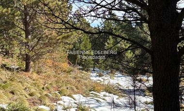 Terreno 3300 m2 El Desafio - San Martin De Los Andes