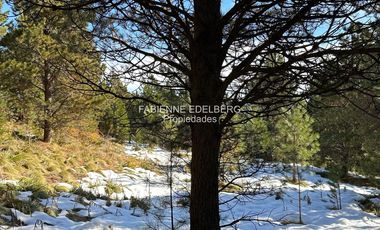 Terreno 3300 m2 El Desafio - San Martin De Los Andes
