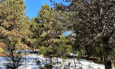 Terreno 3300 m2 El Desafio - San Martin De Los Andes