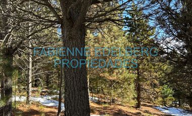 Terreno 3300 m2 El Desafio - San Martin De Los Andes