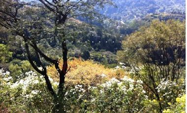 VENTA DE IMPONENTE PROPIEDAD EN TEMASCALTEPEC, ESTADO DE MEXICO, A MINUTOS DE VALLE DE BRAVO