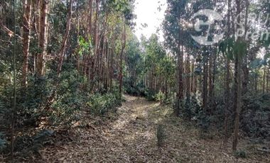 Sitio en Venta en Camino a LLico, cercana a Tubul