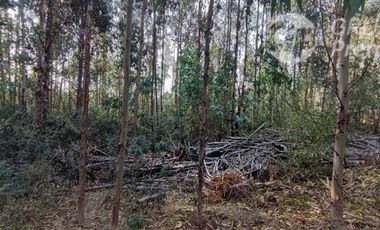 Sitio en Venta en Camino a LLico, cercana a Tubul
