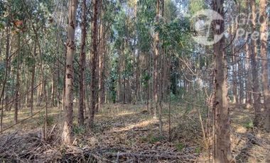 Sitio en Venta en Camino a LLico, cercana a Tubul