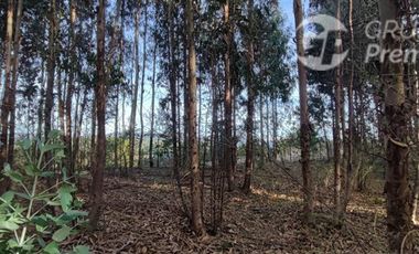Sitio en Venta en Camino a LLico, cercana a Tubul