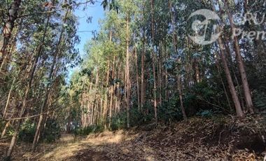 Sitio en Venta en Camino a LLico, cercana a Tubul