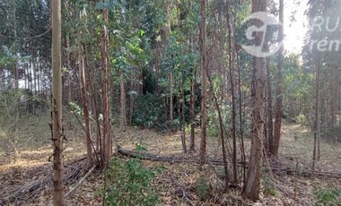 Sitio en Venta en Camino a LLico, cercana a Tubul