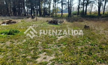 Parcela en Venta en Sector Colicheo, Cabrero.