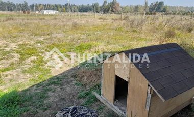 Parcela en Venta en Sector Colicheo, Cabrero.