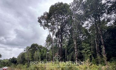 Vive en armonía con la naturaleza en «Parque Tres Puentes», Puerto Varas