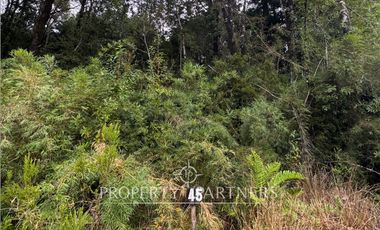Vive en armonía con la naturaleza en «Parque Tres Puentes», Puerto Varas