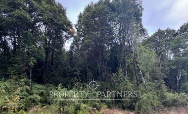 Vive en armonía con la naturaleza en «Parque Tres Puentes», Puerto Varas