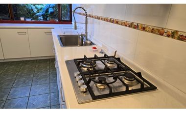 ARRIENDO  CASA EN PARCELA, VISTA AL LAGO, FRUTILLAR