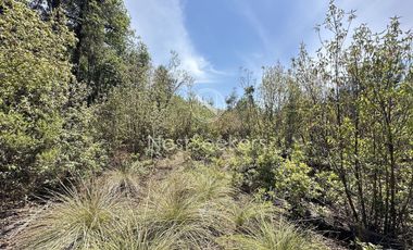 Rancho en Venta