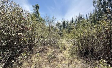 Rancho en Venta
