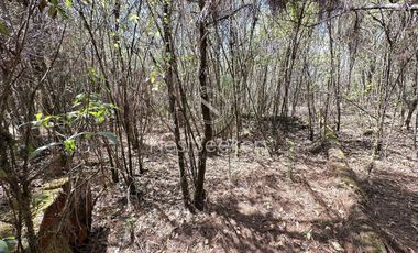 Rancho en Venta