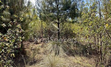 Rancho en Venta