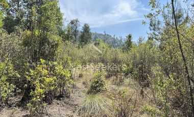 Rancho en Venta