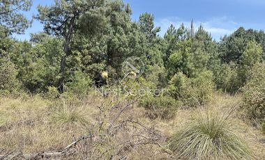 Rancho en Venta