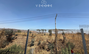 TERRENO EN RENTA A PIE DE CARRETERA ZAPOTLANEJO, TONALÁ, JALISCO